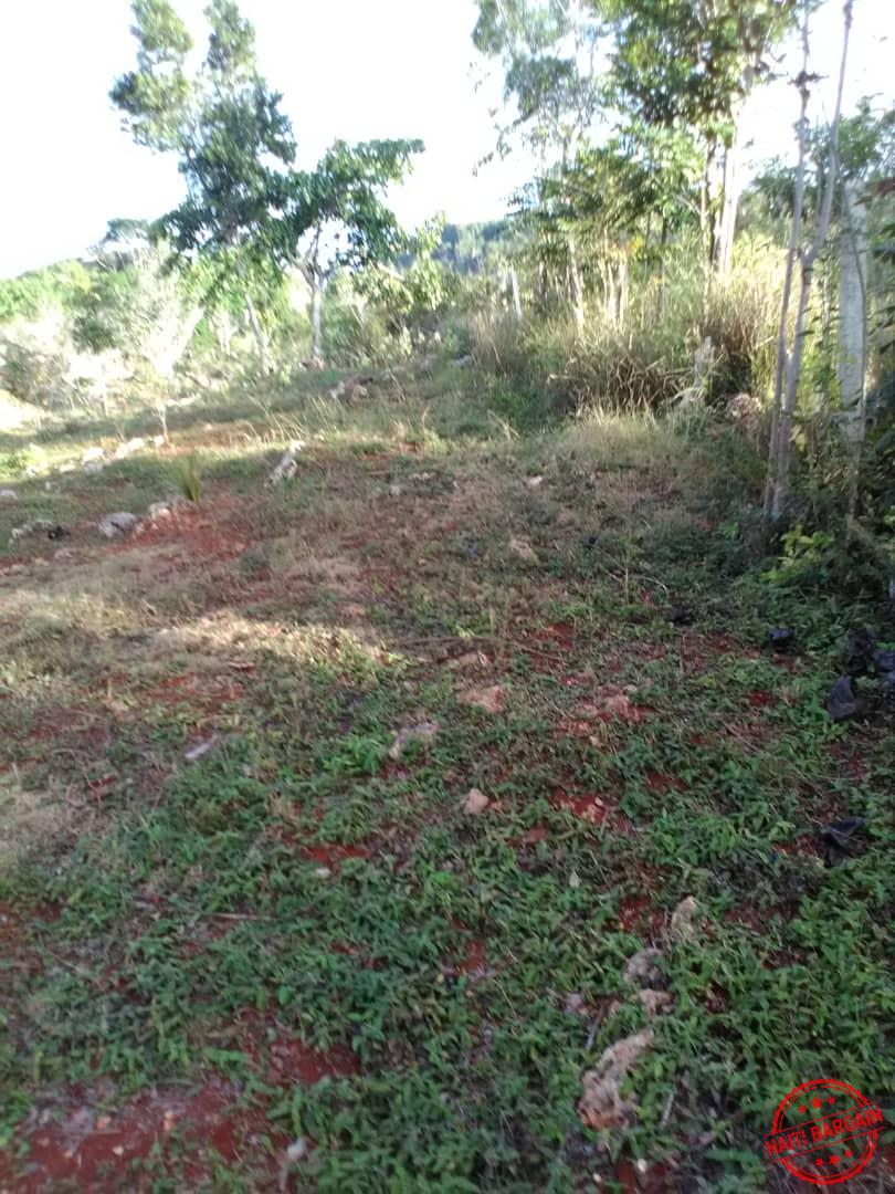 Land TERRAIN A VENDRE ZONE COMMUNE MUSAC, Vue Sur La Vallée De JACMEL