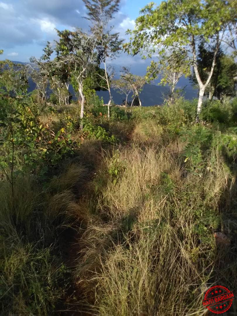 Land TERRAIN A VENDRE ZONE COMMUNE MUSAC, Vue Sur La Vallée De JACMEL