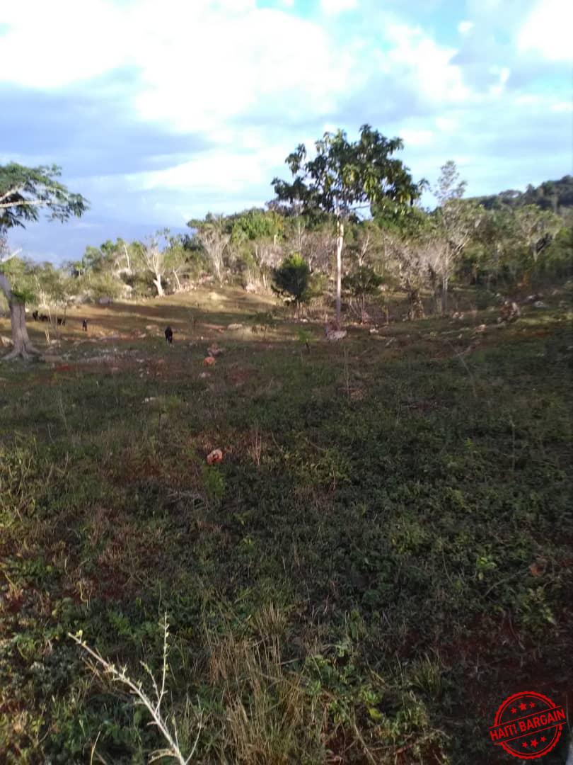 Land TERRAIN A VENDRE ZONE COMMUNE MUSAC, Vue Sur La Vallée De JACMEL