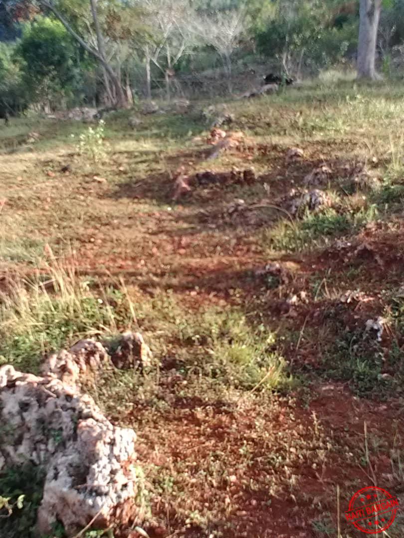 Land TERRAIN A VENDRE ZONE COMMUNE MUSAC, Vue Sur La Vallée De JACMEL