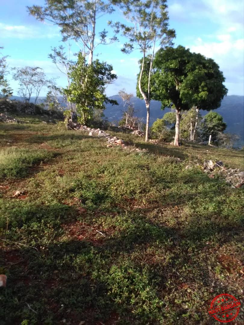Land TERRAIN A VENDRE ZONE COMMUNE MUSAC, Vue Sur La Vallée De JACMEL