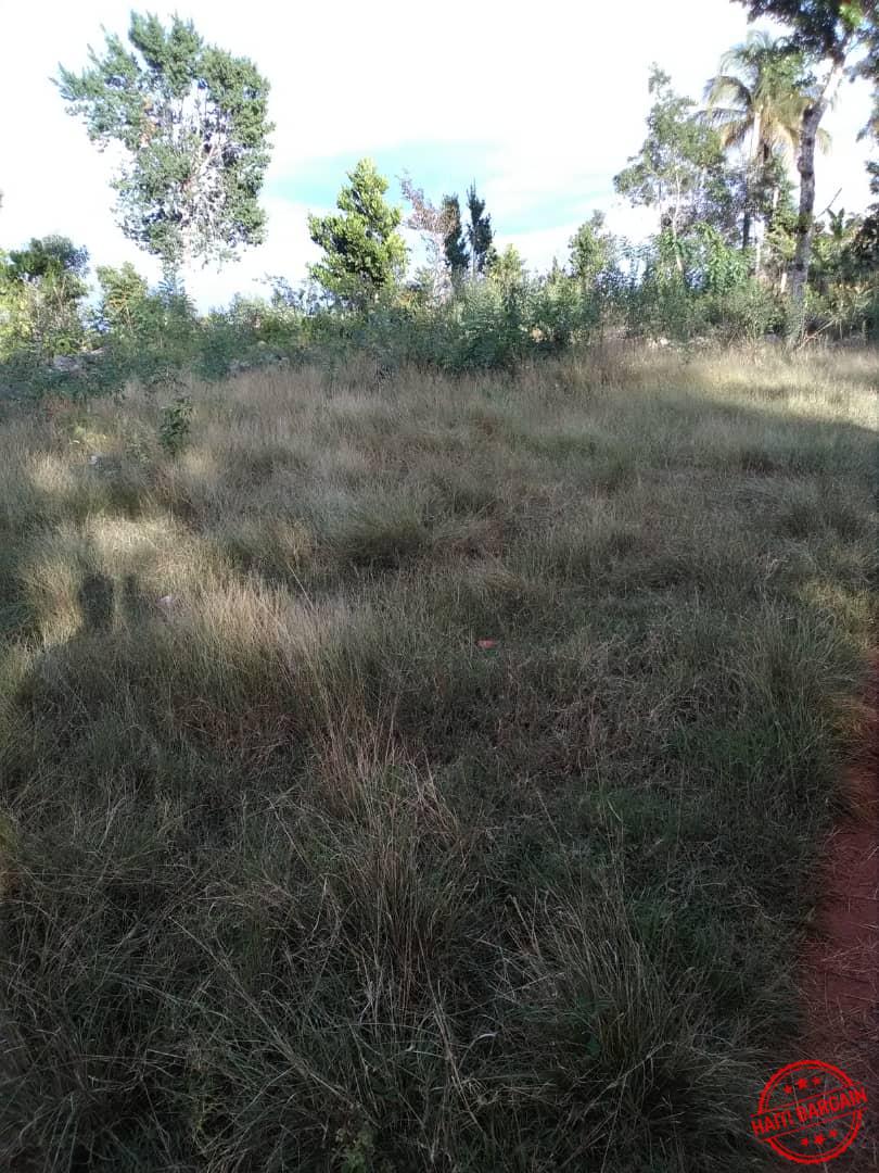 Land TERRAIN A VENDRE ZONE COMMUNE MUSAC, Vue Sur La Vallée De JACMEL