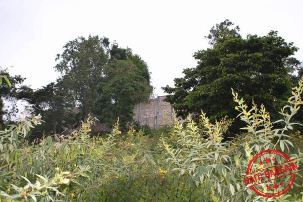 TERRAIN A VENDRE - ZONE: THOMASSIN 37