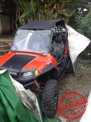 2010 POLARIS RZR 800