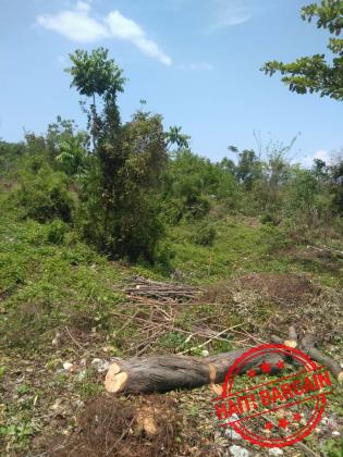 TERRAIN A VENDRE - ZONE: MIRAGOANE (Desronceray)