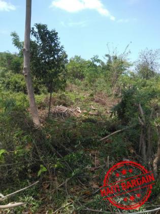 TERRAIN A VENDRE - ZONE: MIRAGOANE (Desronceray)