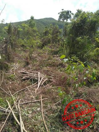 TERRAIN A VENDRE - ZONE: MIRAGOANE (Desronceray)