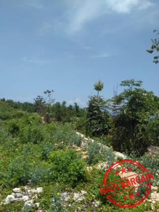 TERRAIN A VENDRE - ZONE: MIRAGOANE (Desronceray)