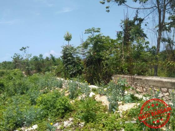 TERRAIN A VENDRE - ZONE: MIRAGOANE (Desronceray)