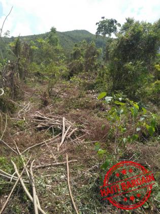 TERRAIN A VENDRE - ZONE: MIRAGOANE (Desronceray)
