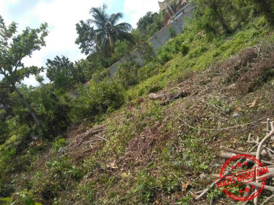 TERRAIN A VENDRE - ZONE: MIRAGOANE (Desronceray)