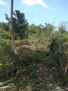 TERRAIN A VENDRE - ZONE: MIRAGOANE (Desronceray)