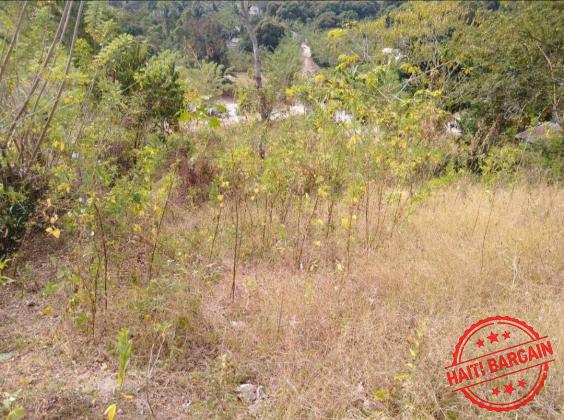 TERRAIN A VENDRE - ZONE: MIRAGOANE