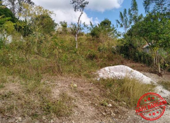 TERRAIN A VENDRE - ZONE: MIRAGOANE
