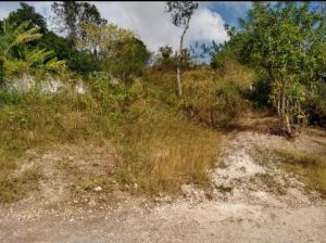 TERRAIN A VENDRE - ZONE: MIRAGOANE
