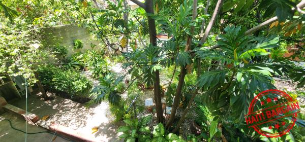 MAISON A LOUER & A VENDRE, ZONE: DELMAS 83