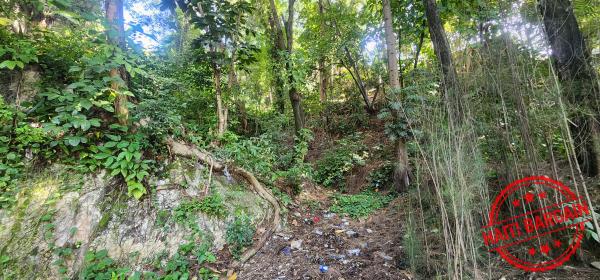 TERRAIN A VENDRE - ZONE: PELERIN