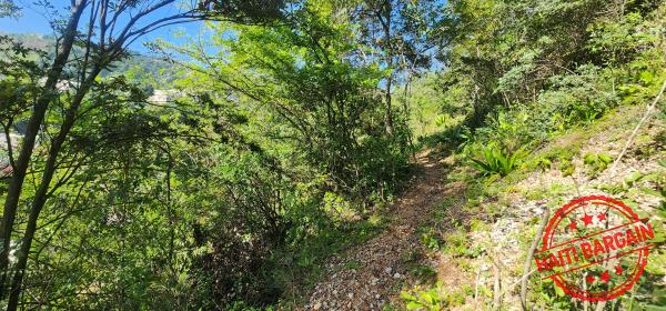 TERRAIN A VENDRE - ZONE: PELERIN