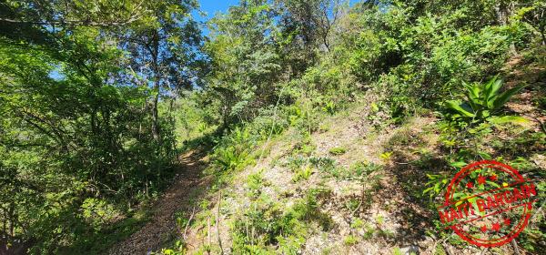 TERRAIN A VENDRE - ZONE: PELERIN