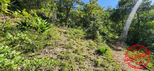 TERRAIN A VENDRE - ZONE: PELERIN