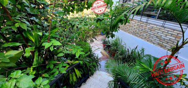 OPPORTUNITÉ D’INVESTISSEMENT – COMPLEXE D’APPARTEMENTS À VENDRE