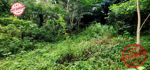 TERRAIN À VENDRE – MONTAGNE NOIRE