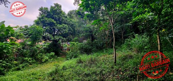 TERRAIN À VENDRE – MONTAGNE NOIRE