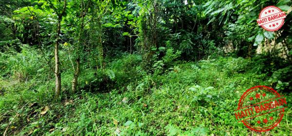 TERRAIN À VENDRE – MONTAGNE NOIRE