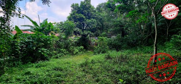 TERRAIN À VENDRE – MONTAGNE NOIRE