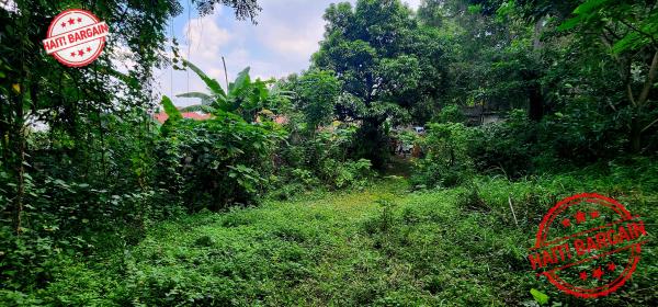 TERRAIN À VENDRE – MONTAGNE NOIRE