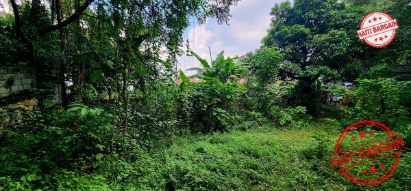 TERRAIN À VENDRE – MONTAGNE NOIRE