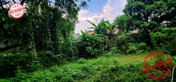 TERRAIN À VENDRE – MONTAGNE NOIRE