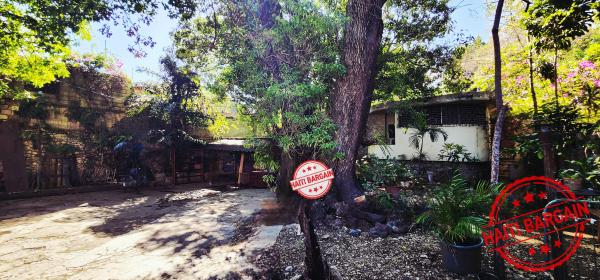 2 PROPRIÉTÉS À VENDRE – ZONE: PV